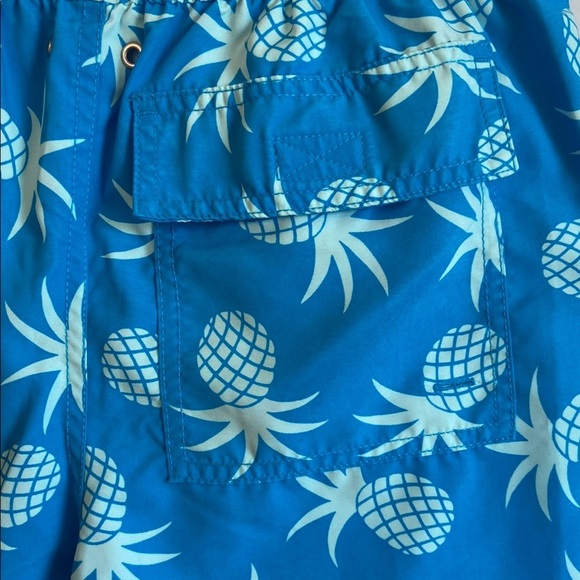 Tom & Teddy Blue Pineapple Swim Shorts - Picture 4 of 5